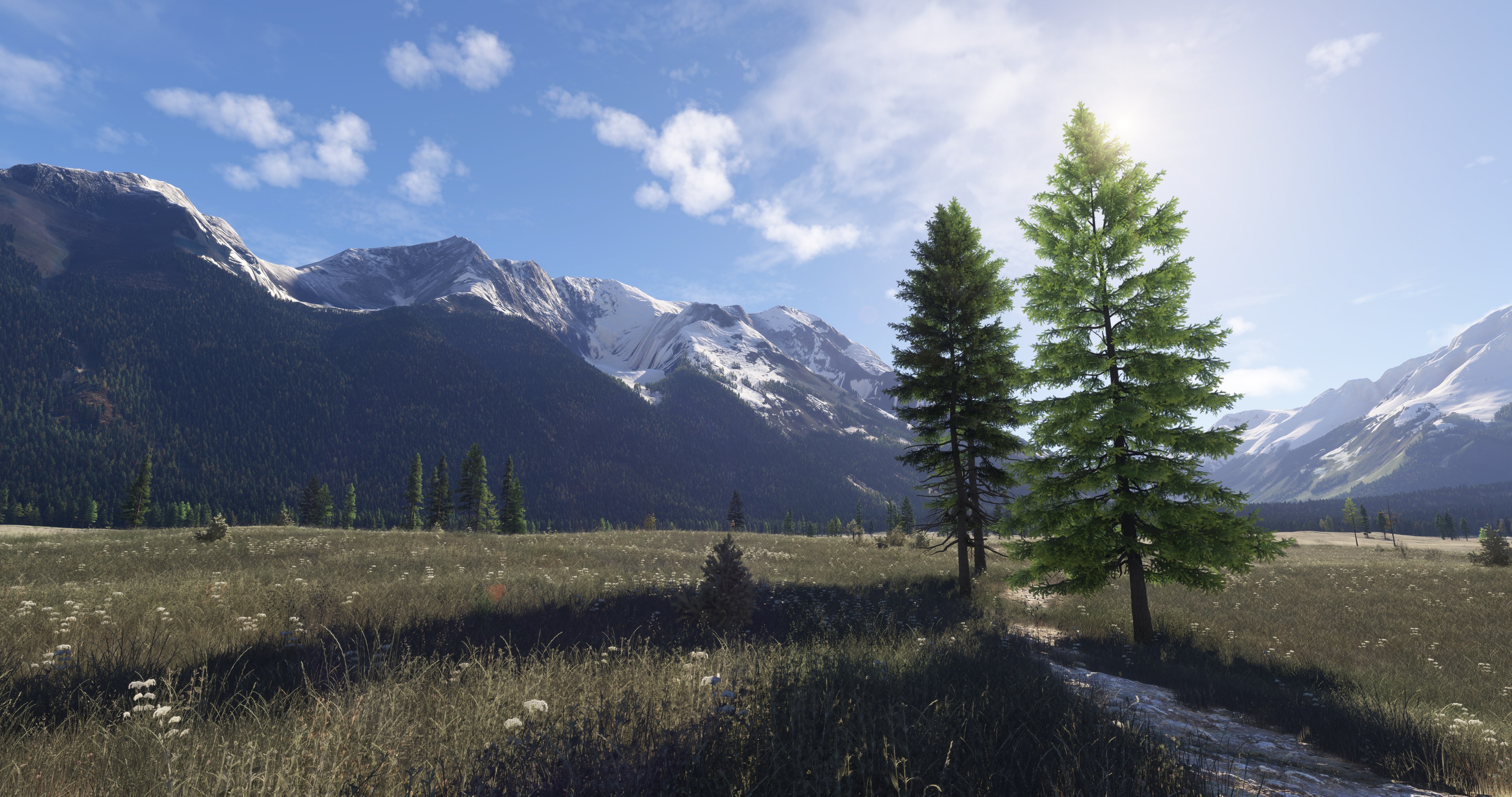 Microsoft Flight Simulator 2024 - Imagen 6